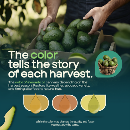 AVO NON GMO 100% Avocado Oil, 1 Gallon 128 Fl-oz, NO Preservatives Added